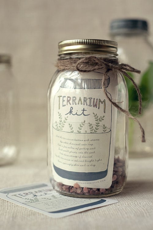 DIY_Gift_Terrarium_Kit1