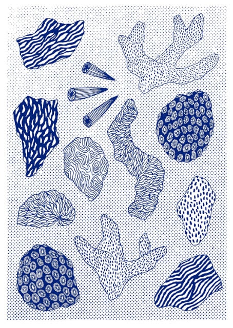 M&J Trimming - Blue and White Coral Print
