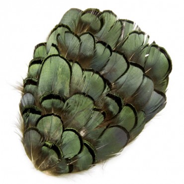 5" X 3 1/2" Pheasant Feather Patch - Green Iris